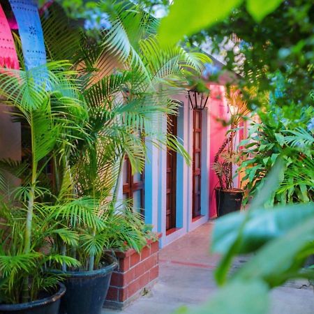 Hotel Las Golondrinas 오아하카주 외부 사진