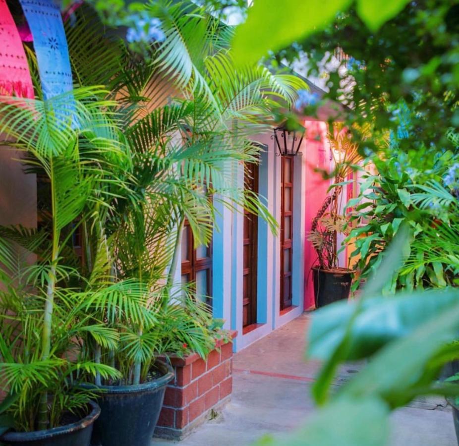 Hotel Las Golondrinas 오아하카주 외부 사진