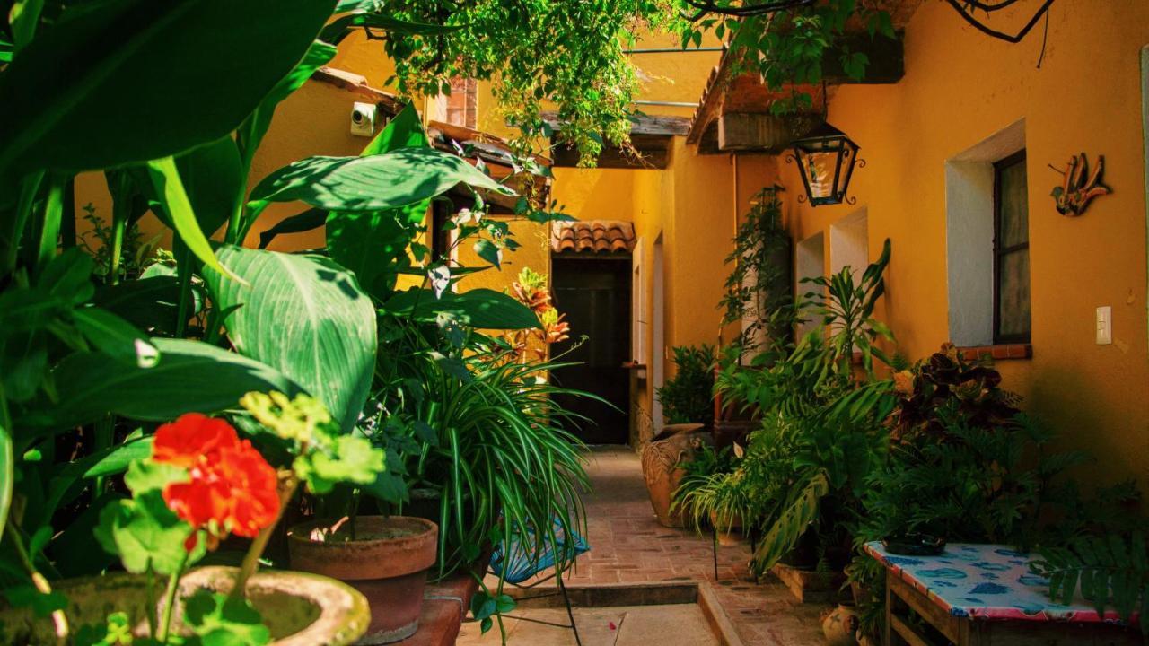 Hotel Las Golondrinas 오아하카주 외부 사진