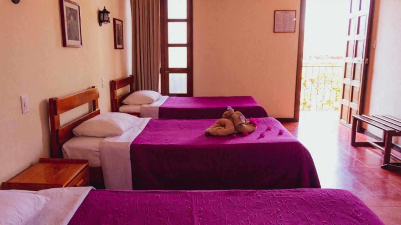 Hotel Las Golondrinas 오아하카주 외부 사진
