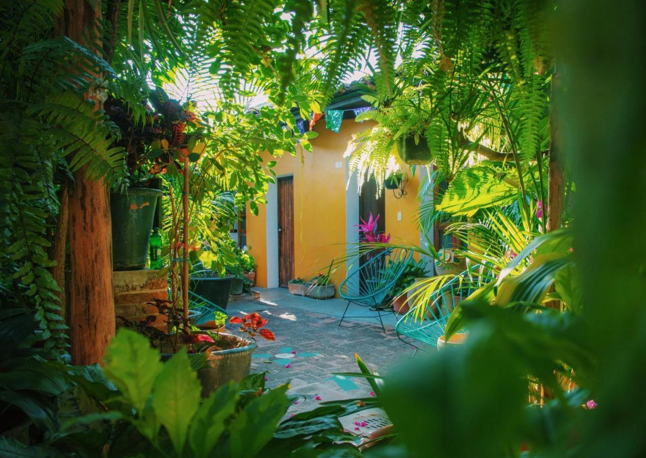 Hotel Las Golondrinas 오아하카주 외부 사진