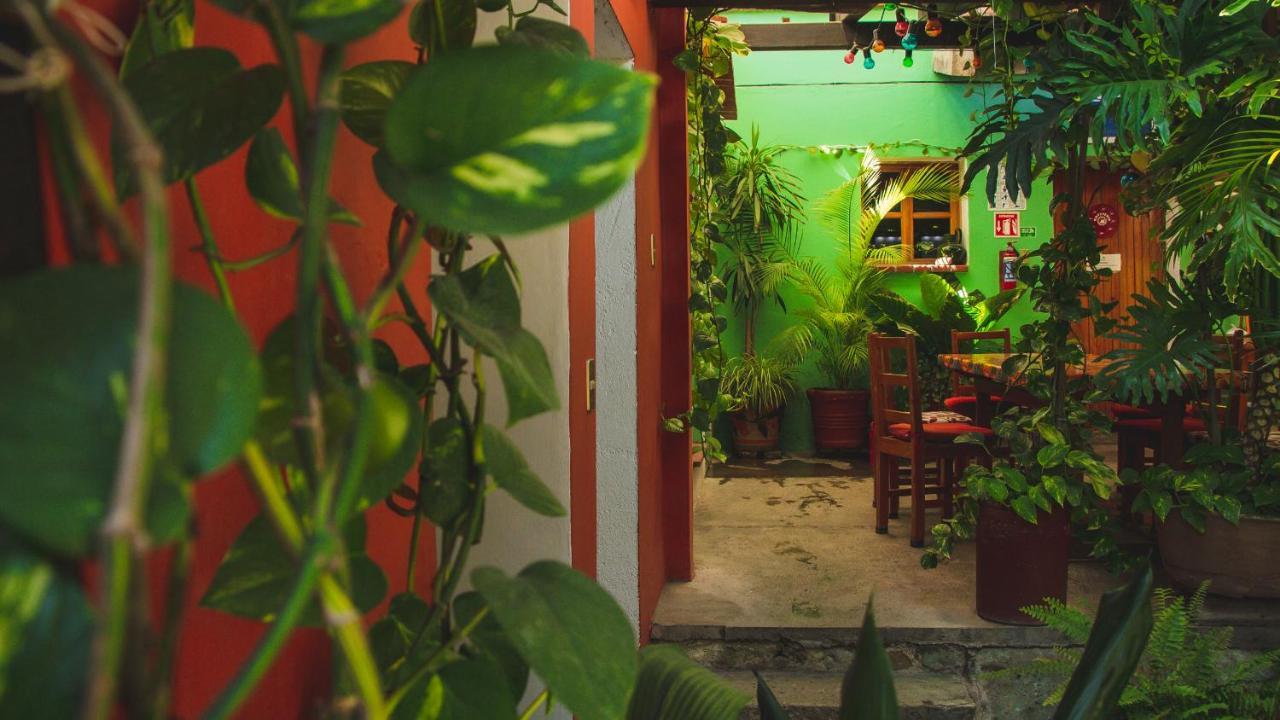 Hotel Las Golondrinas 오아하카주 외부 사진