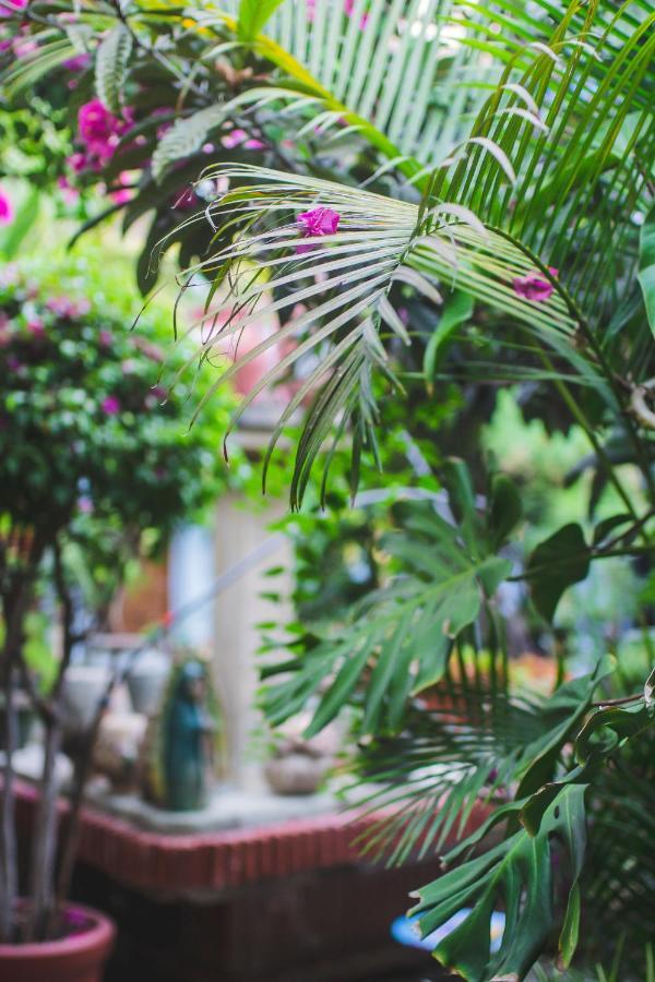 Hotel Las Golondrinas 오아하카주 외부 사진