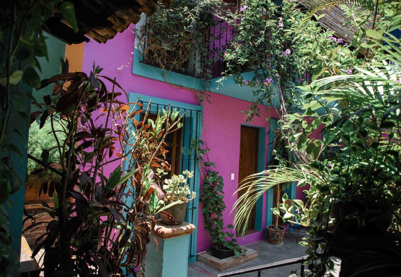 Hotel Las Golondrinas 오아하카주 외부 사진