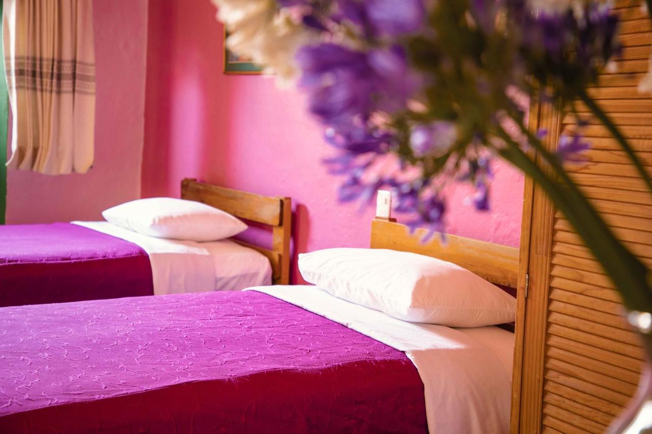 Hotel Las Golondrinas 오아하카주 외부 사진