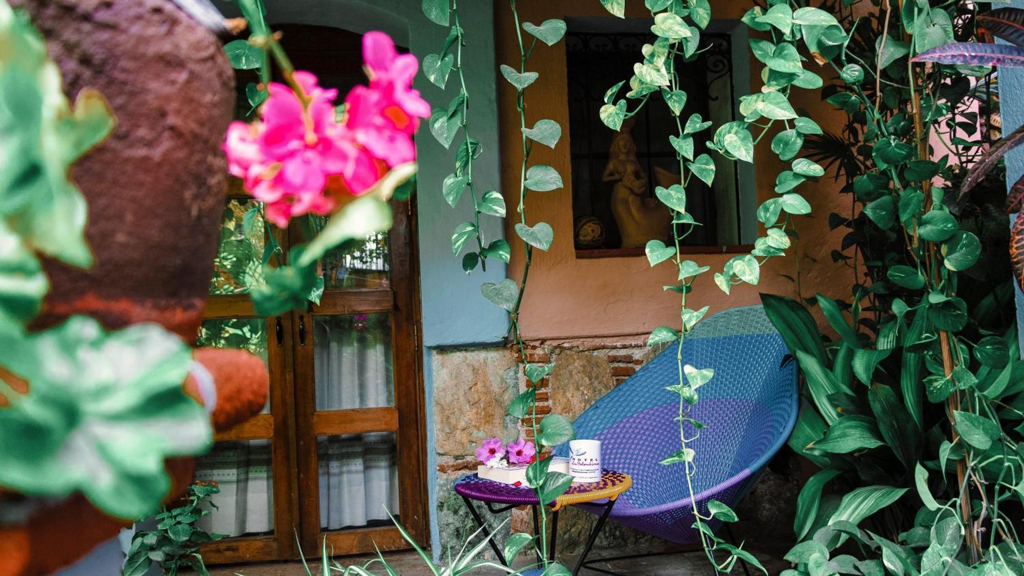 Hotel Las Golondrinas 오아하카주 외부 사진