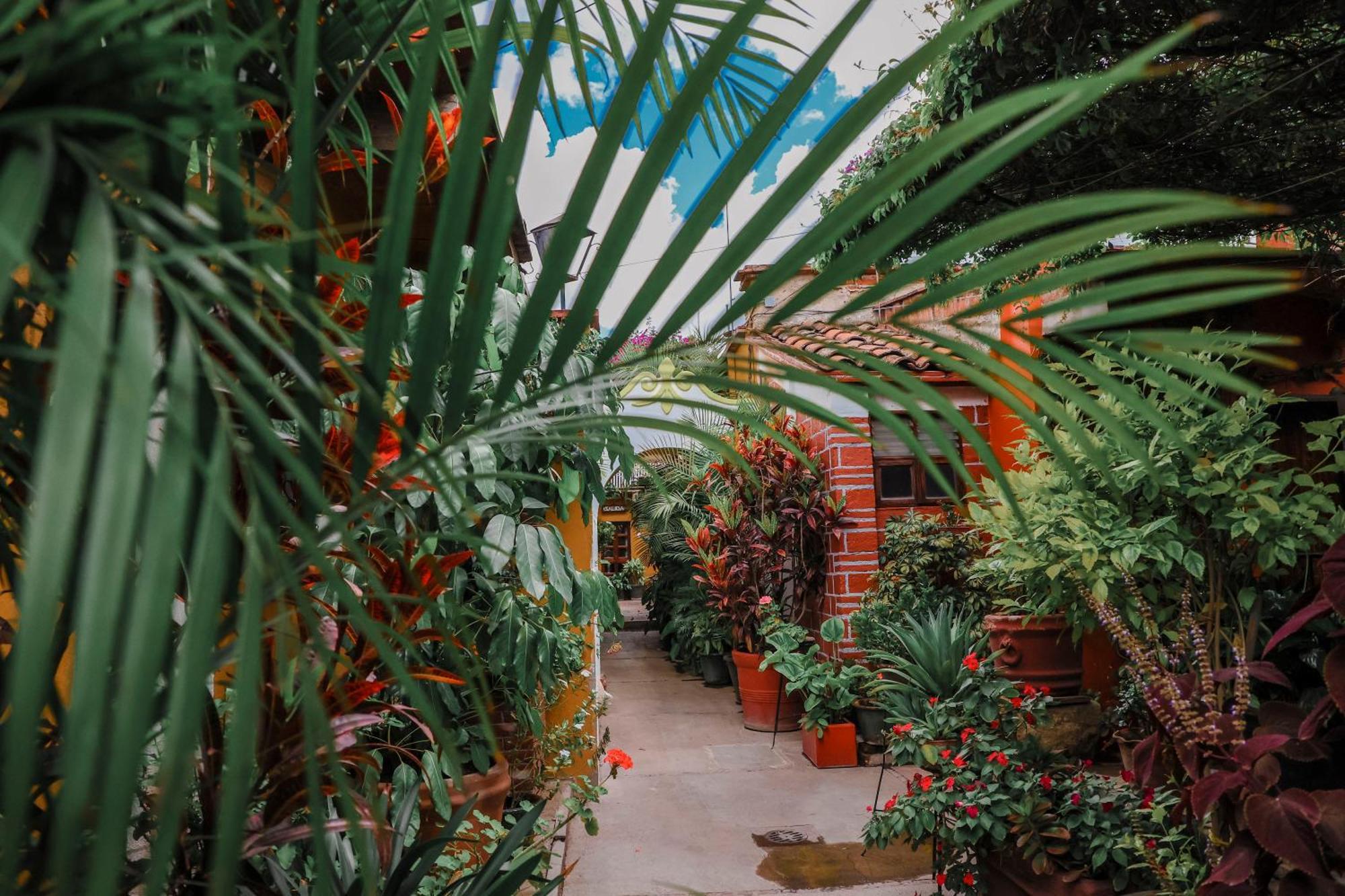 Hotel Las Golondrinas 오아하카주 외부 사진