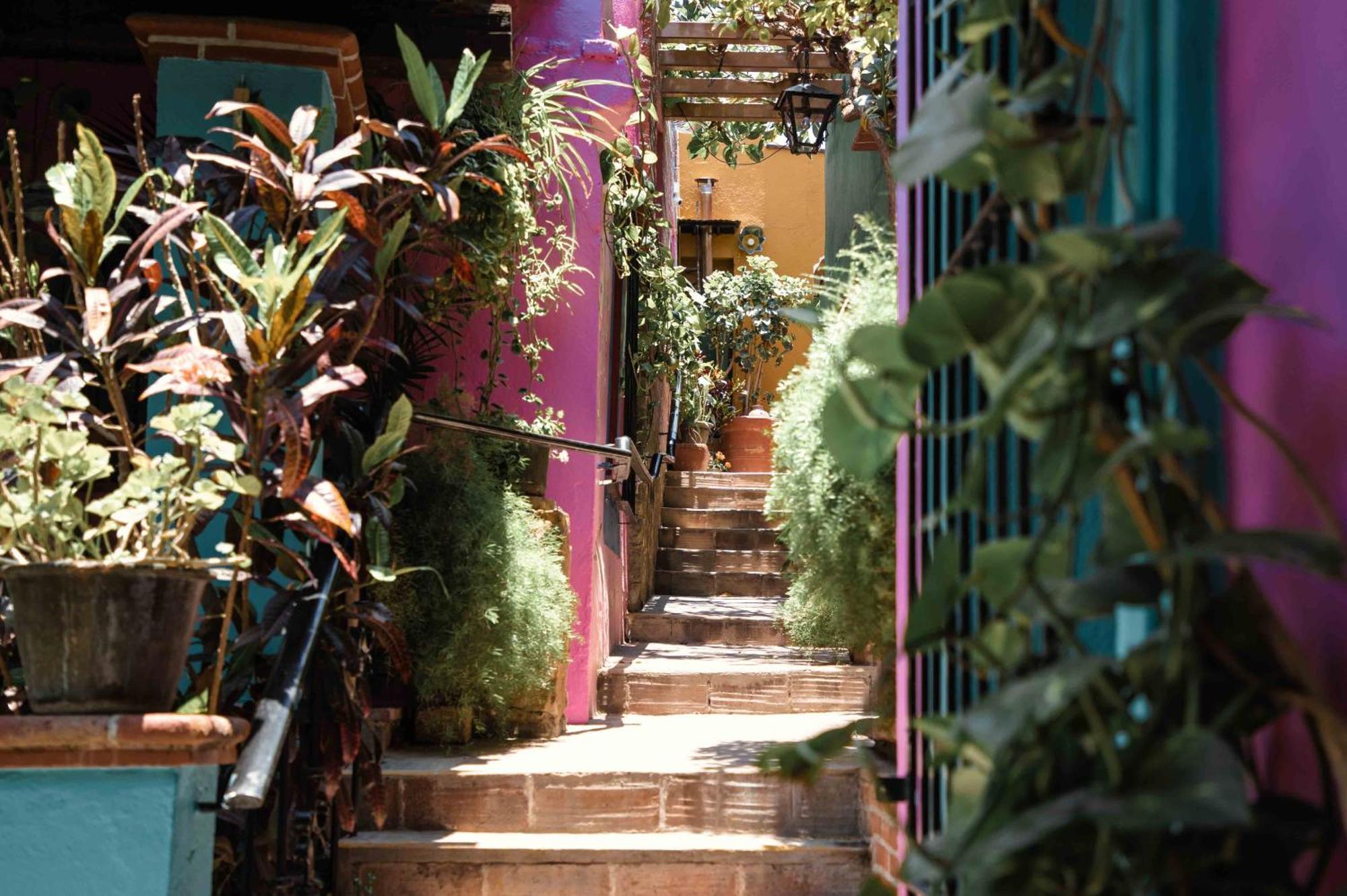 Hotel Las Golondrinas 오아하카주 외부 사진