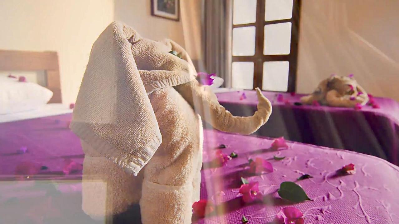 Hotel Las Golondrinas 오아하카주 외부 사진