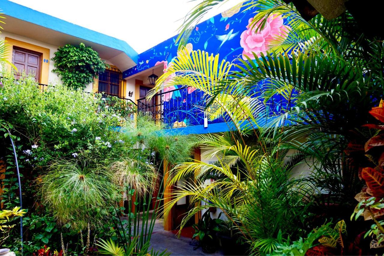 Hotel Las Golondrinas 오아하카주 외부 사진