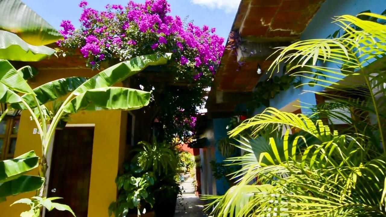 Hotel Las Golondrinas 오아하카주 외부 사진