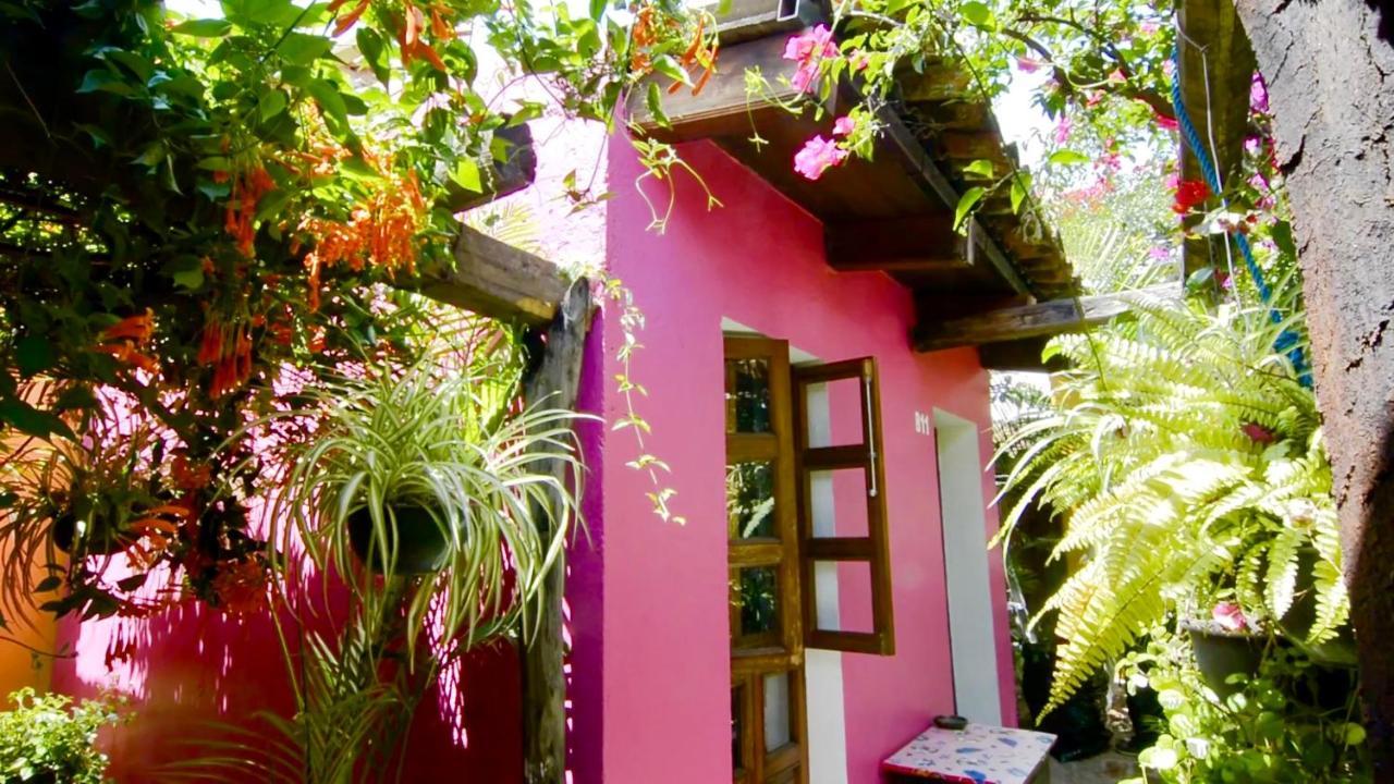Hotel Las Golondrinas 오아하카주 외부 사진