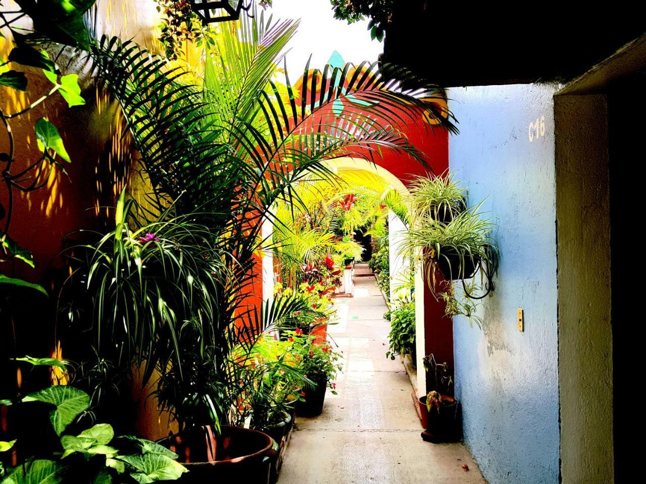 Hotel Las Golondrinas 오아하카주 외부 사진